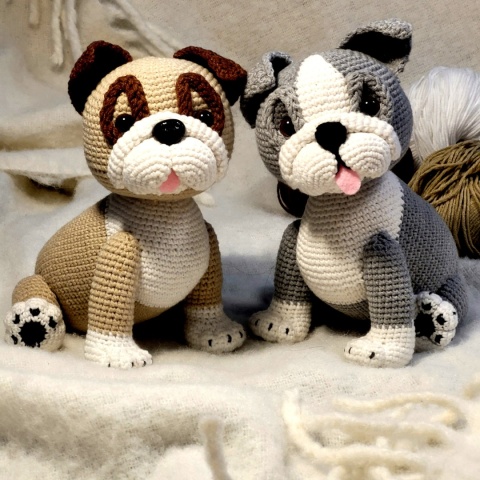 Buldog angielski biszkoptowy, schemat PDF + filmy