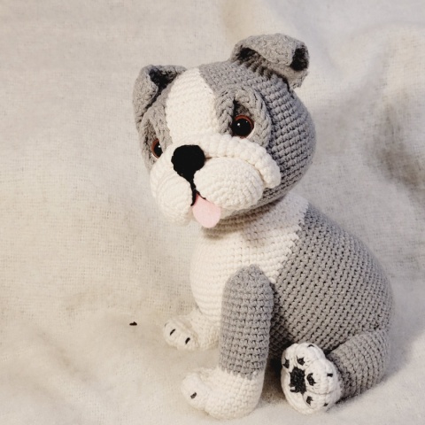 Buldog angielski szary, schemat PDF + filmy