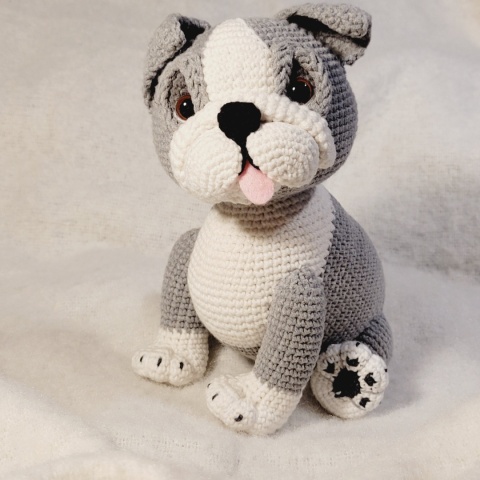 Buldog angielski szary, schemat PDF + filmy